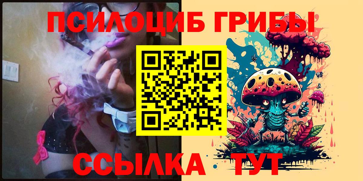 Псилоцибиновые грибы Psilocybe  Вход с VPN  Выборг  Псилоцибиновые грибы GOLDEN TEACHER 